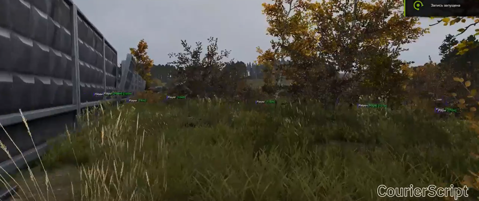 CourierScript Screenshot 2